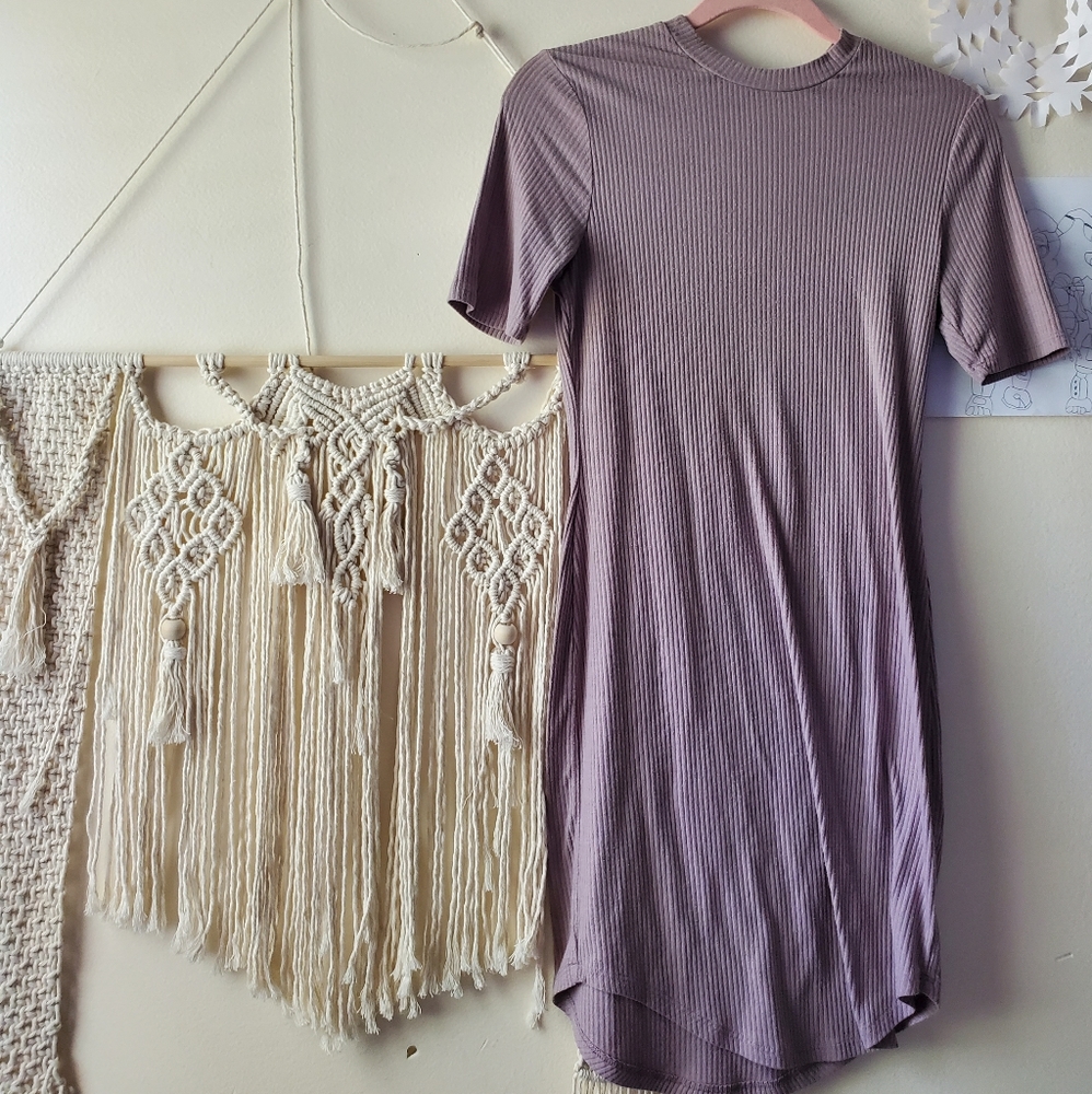 Ribbed Crew Neck Long Sleeve Bodycon Dress